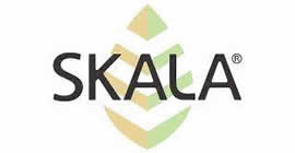 Skala